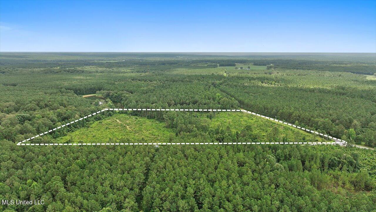 Cephus Williams Road Silver Creek, MS 39663 - Photo 2 of 52 Untitled design-2