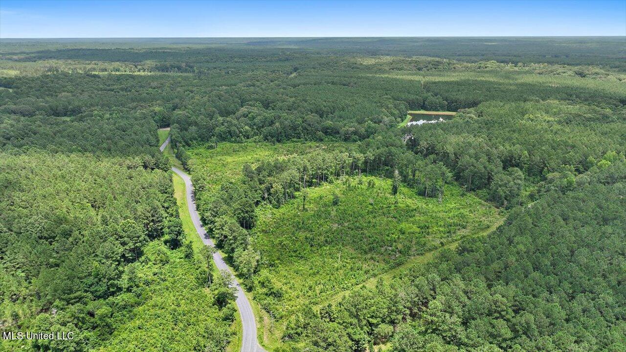 Cephus Williams Road Silver Creek, MS 39663 - Photo 21 of 52 11-Cephus Williams Rd