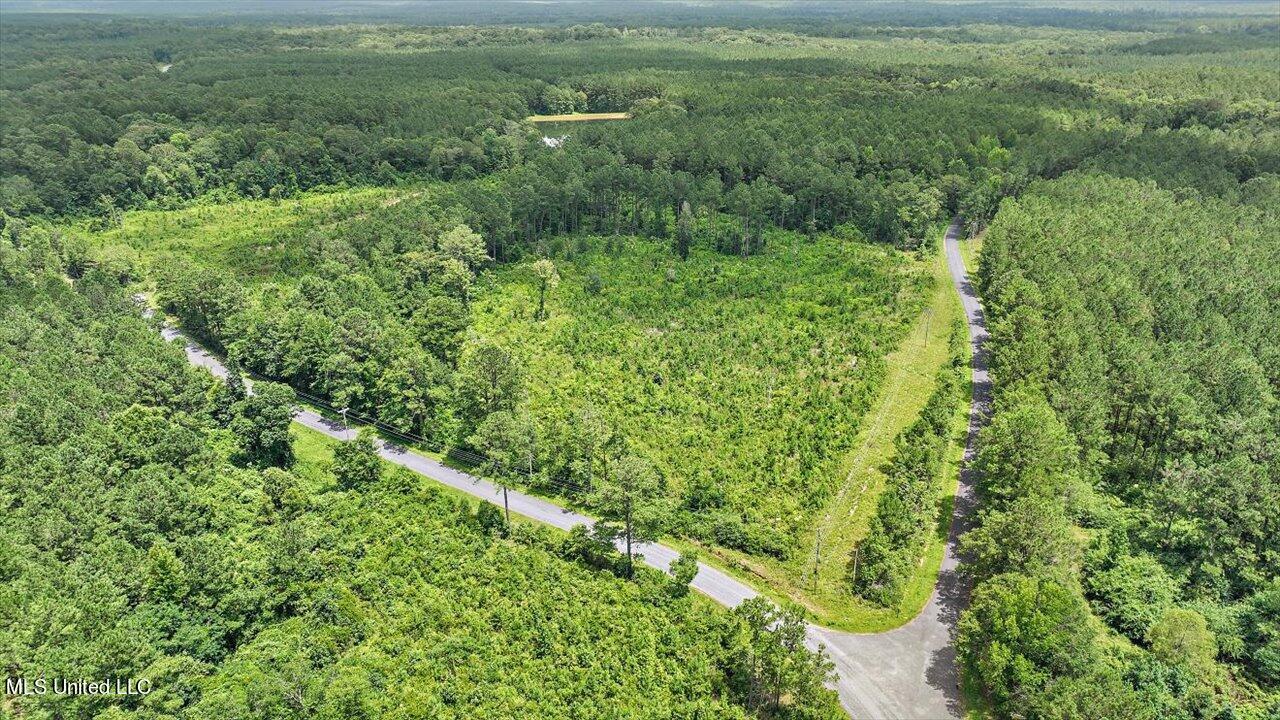 Cephus Williams Road Silver Creek, MS 39663 - Photo 22 of 52 12-Cephus Williams Rd