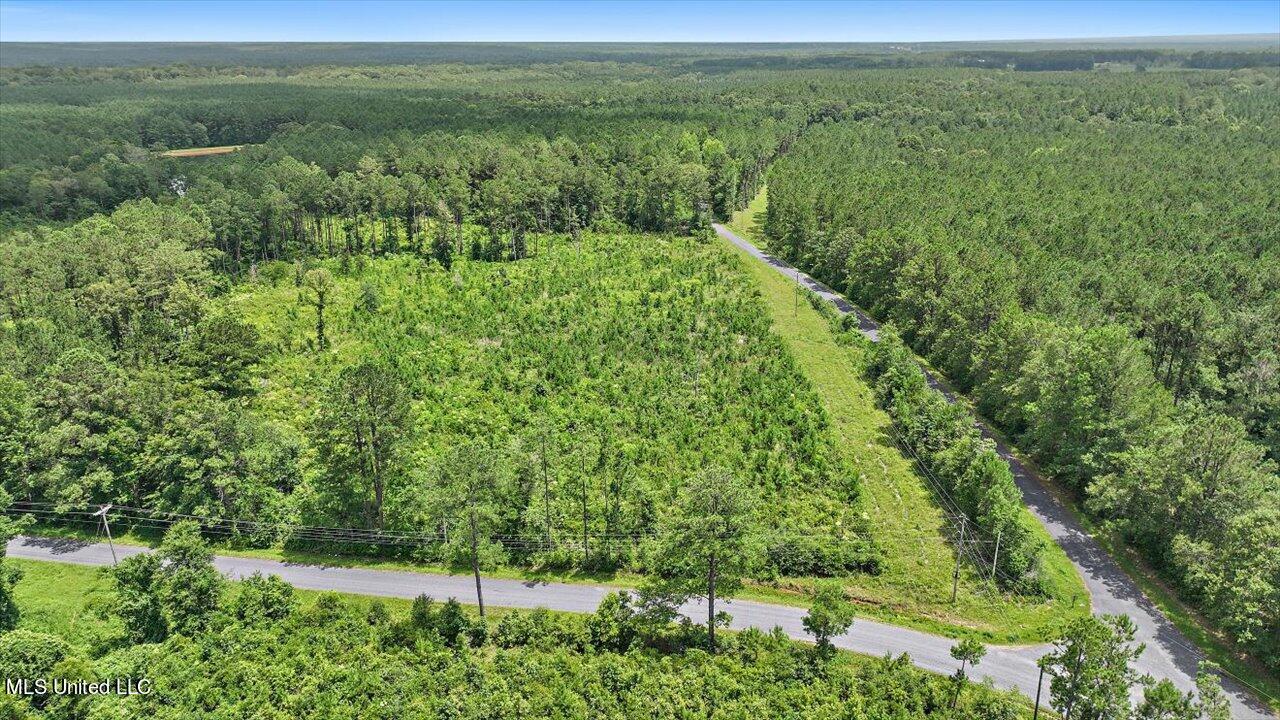 Cephus Williams Road Silver Creek, MS 39663 - Photo 23 of 52 13-Cephus Williams Rd