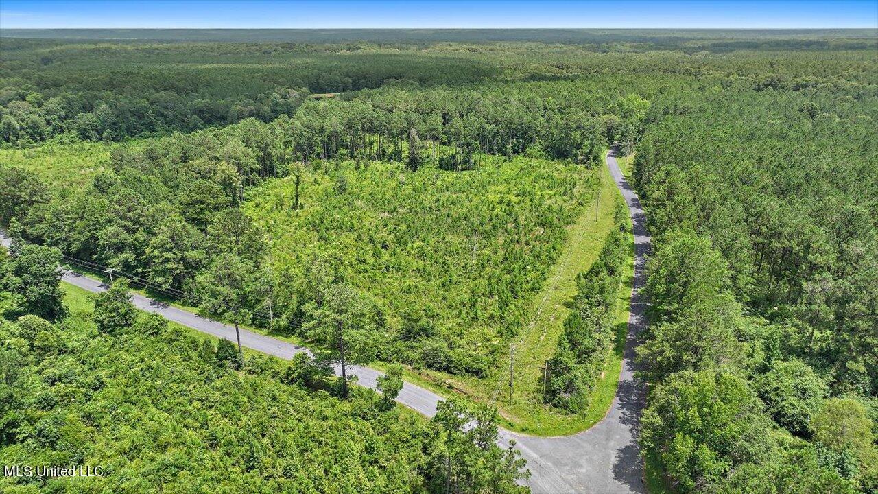 Cephus Williams Road Silver Creek, MS 39663 - Photo 24 of 52 14-Cephus Williams Rd