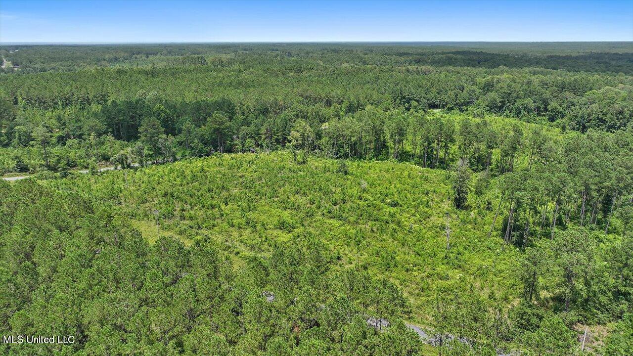 Cephus Williams Road Silver Creek, MS 39663 - Photo 25 of 52 15-Cephus Williams Rd