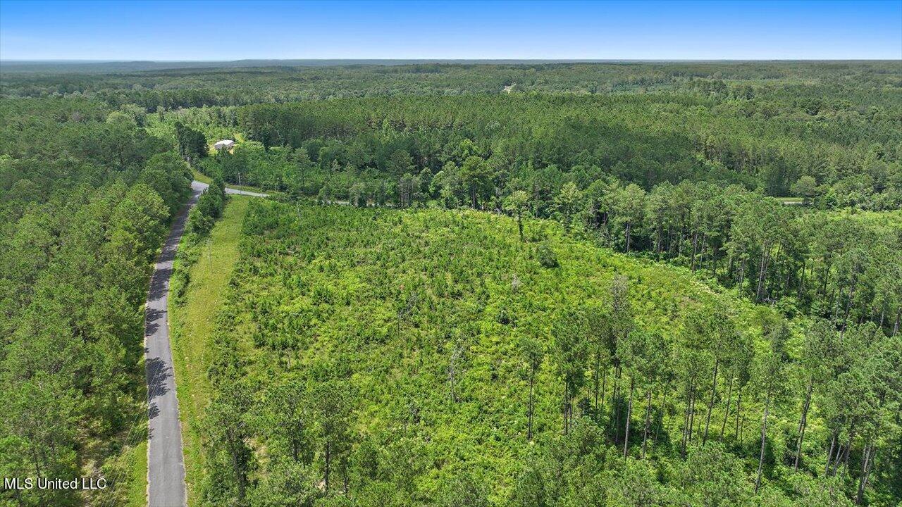 Cephus Williams Road Silver Creek, MS 39663 - Photo 26 of 52 16-Cephus Williams Rd