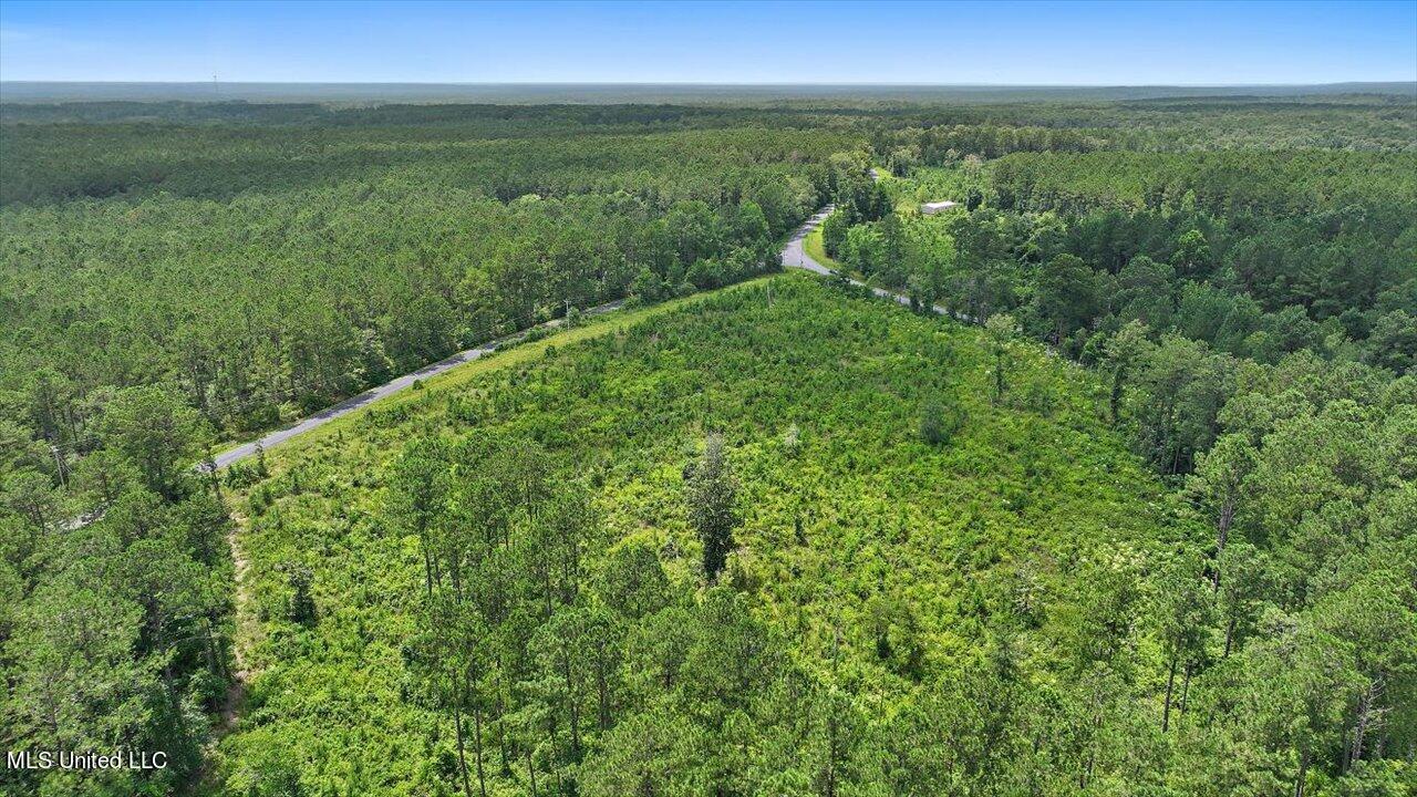 Cephus Williams Road Silver Creek, MS 39663 - Photo 27 of 52 17-Cephus Williams Rd