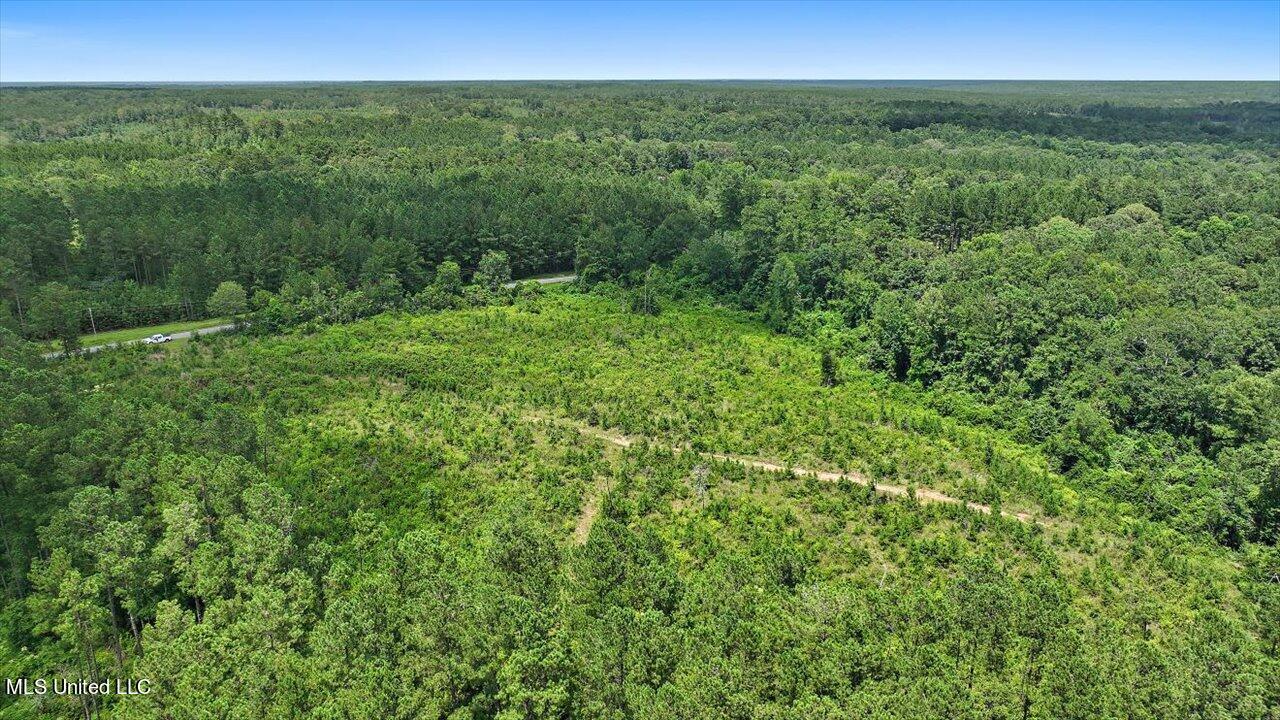 Cephus Williams Road Silver Creek, MS 39663 - Photo 28 of 52 18-Cephus Williams Rd