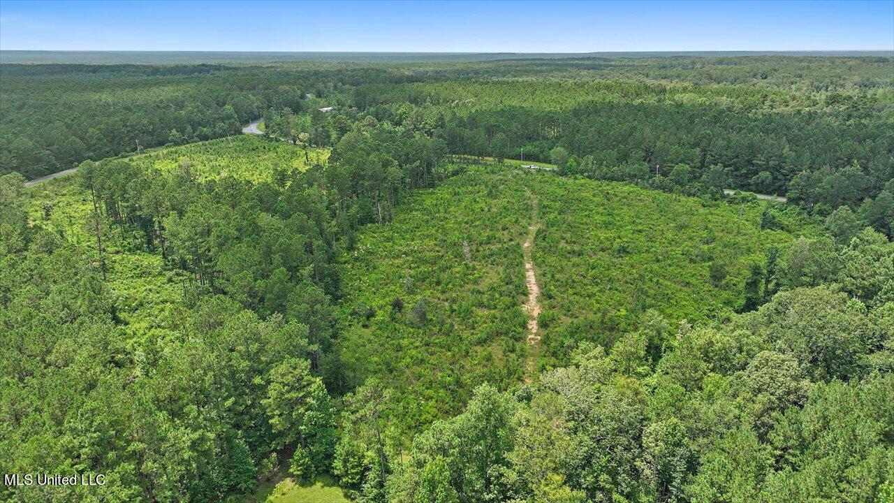 Cephus Williams Road Silver Creek, MS 39663 - Photo 29 of 52 19-Cephus Williams Rd