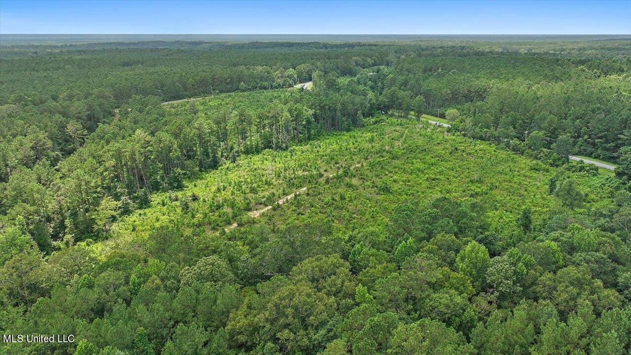 Cephus Williams Road Silver Creek, MS 39663 - Photo 30 of 52 20-Cephus Williams Rd