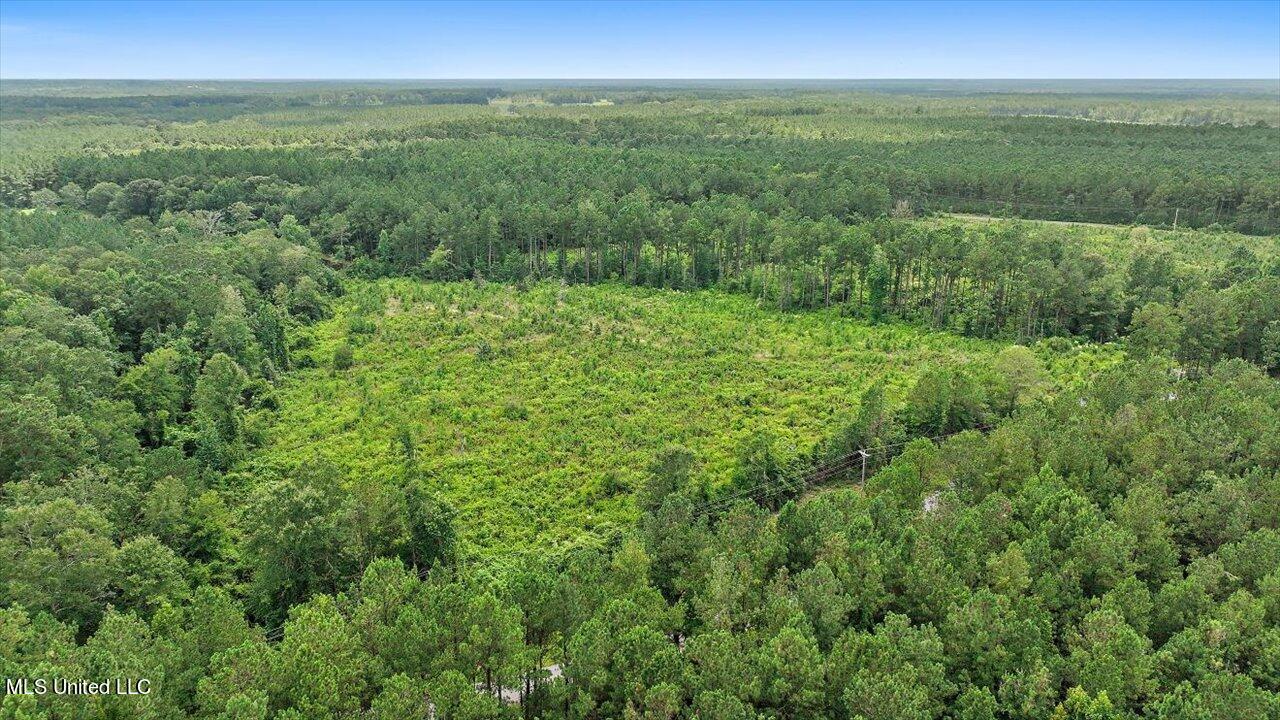 Cephus Williams Road Silver Creek, MS 39663 - Photo 32 of 52 22-Cephus Williams Rd