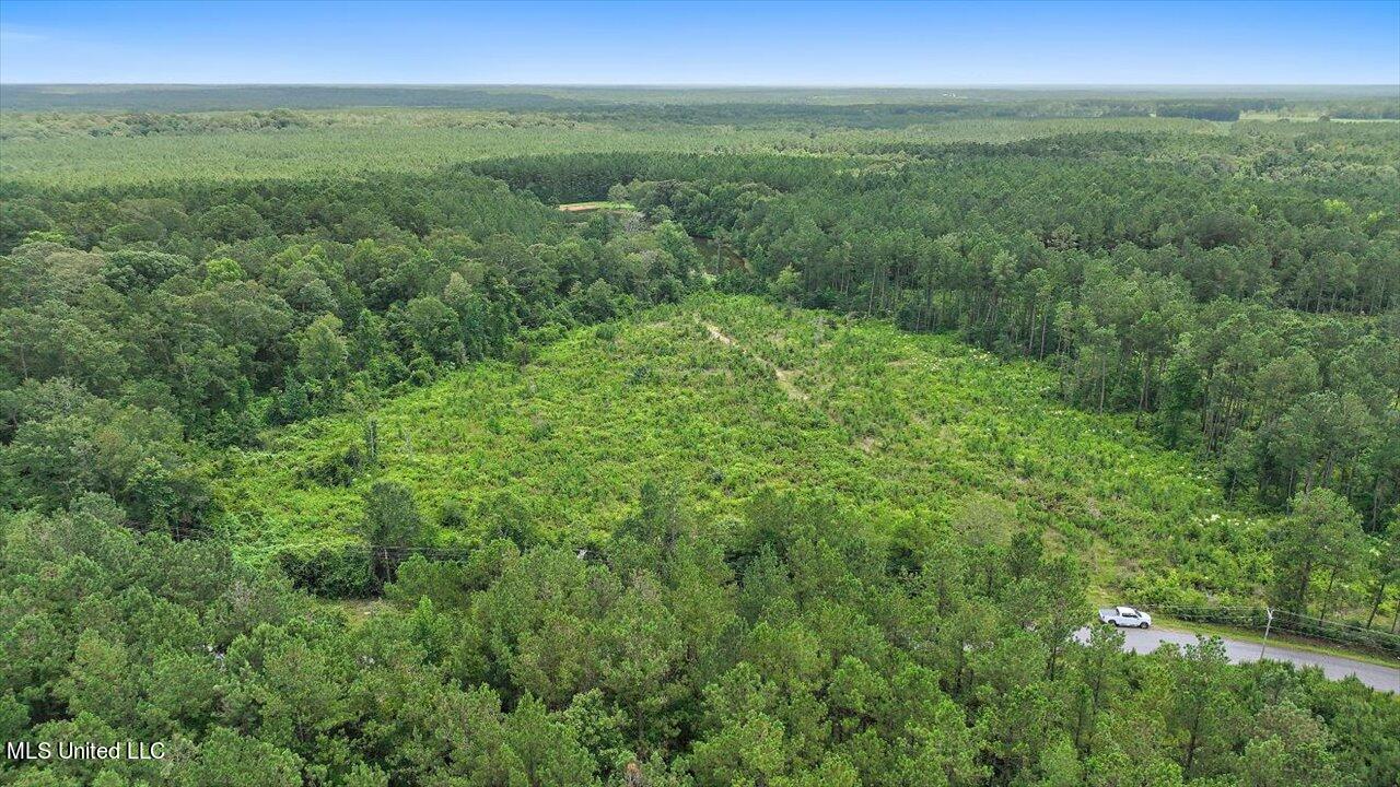 Cephus Williams Road Silver Creek, MS 39663 - Photo 33 of 52 23-Cephus Williams Rd