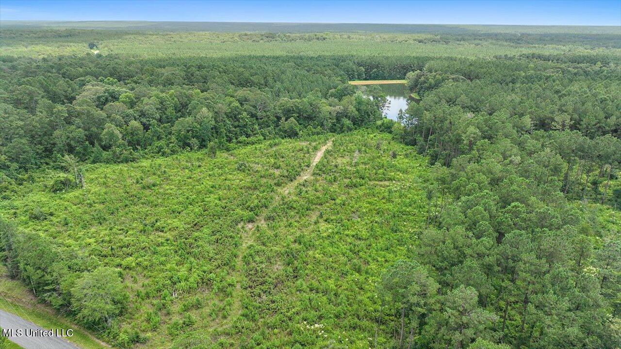 Cephus Williams Road Silver Creek, MS 39663 - Photo 34 of 52 24-Cephus Williams Rd