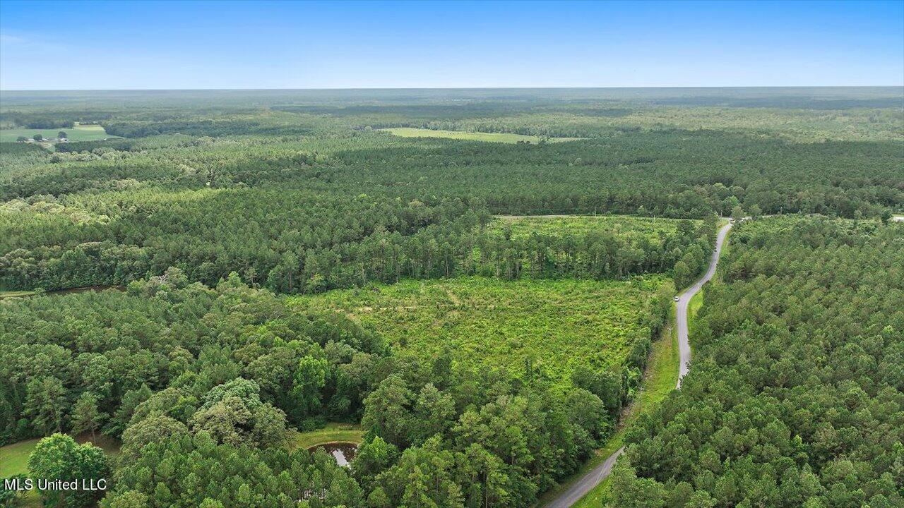 Cephus Williams Road Silver Creek, MS 39663 - Photo 4 of 52 03-Cephus Williams Rd