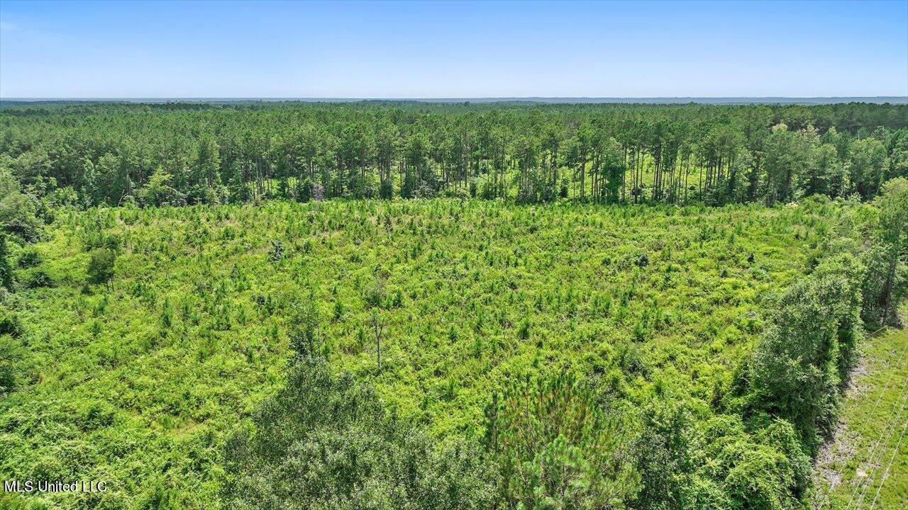 Cephus Williams Road Silver Creek, MS 39663 - Photo 43 of 52 33-Cephus Williams Rd