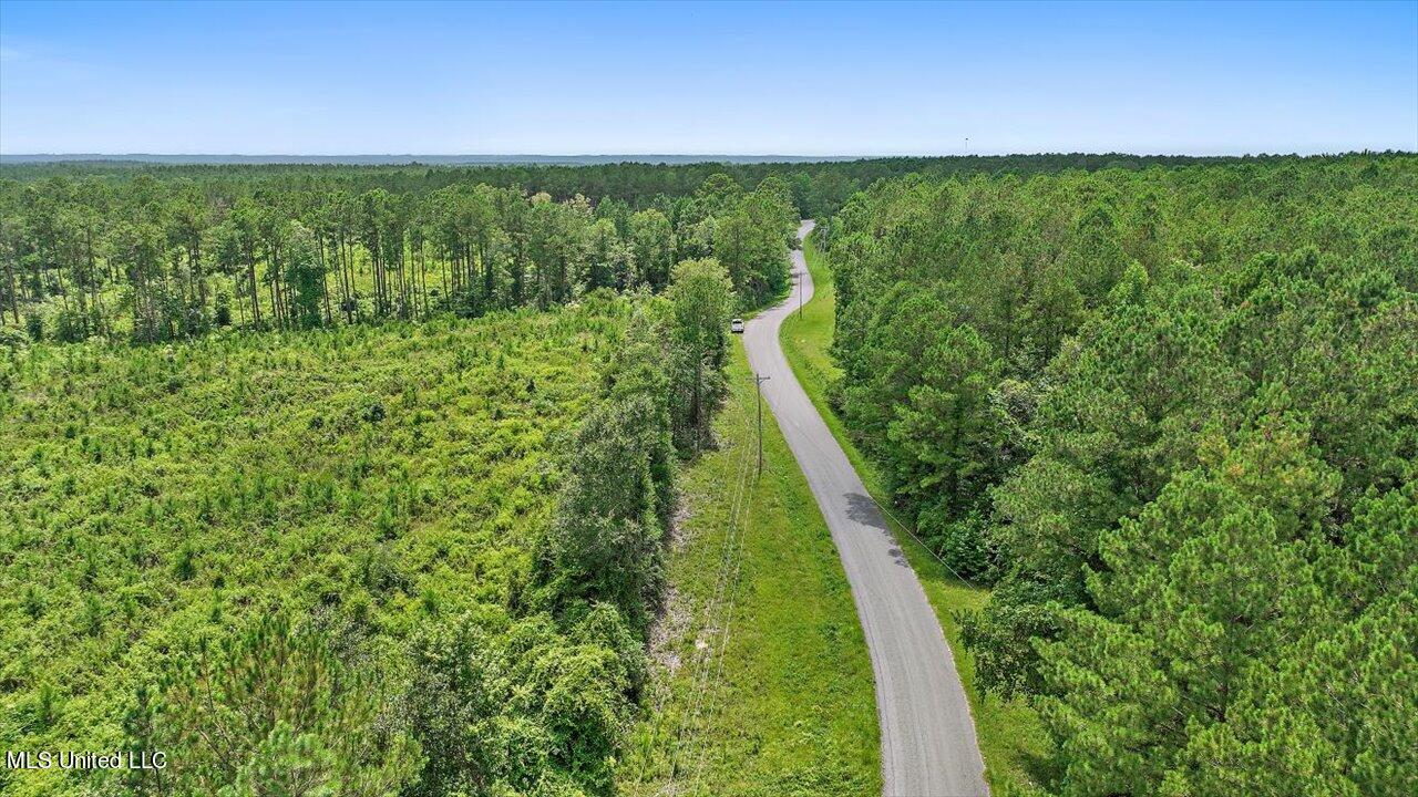 Cephus Williams Road Silver Creek, MS 39663 - Photo 44 of 52 34-Cephus Williams Rd