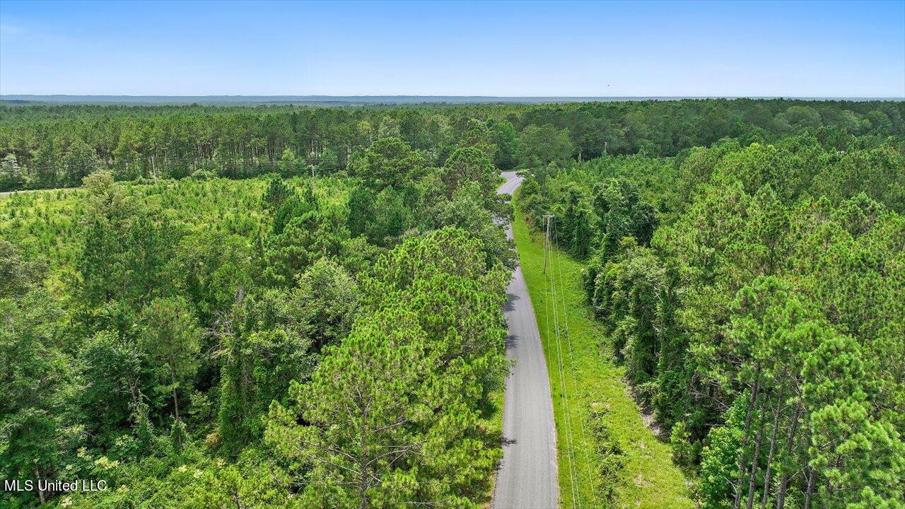Cephus Williams Road Silver Creek, MS 39663 - Photo 45 of 52 35-Cephus Williams Rd