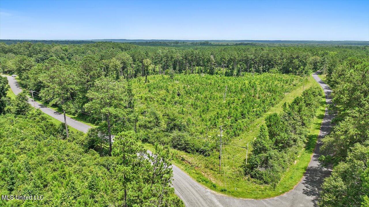 Cephus Williams Road Silver Creek, MS 39663 - Photo 48 of 52 38-Cephus Williams Rd