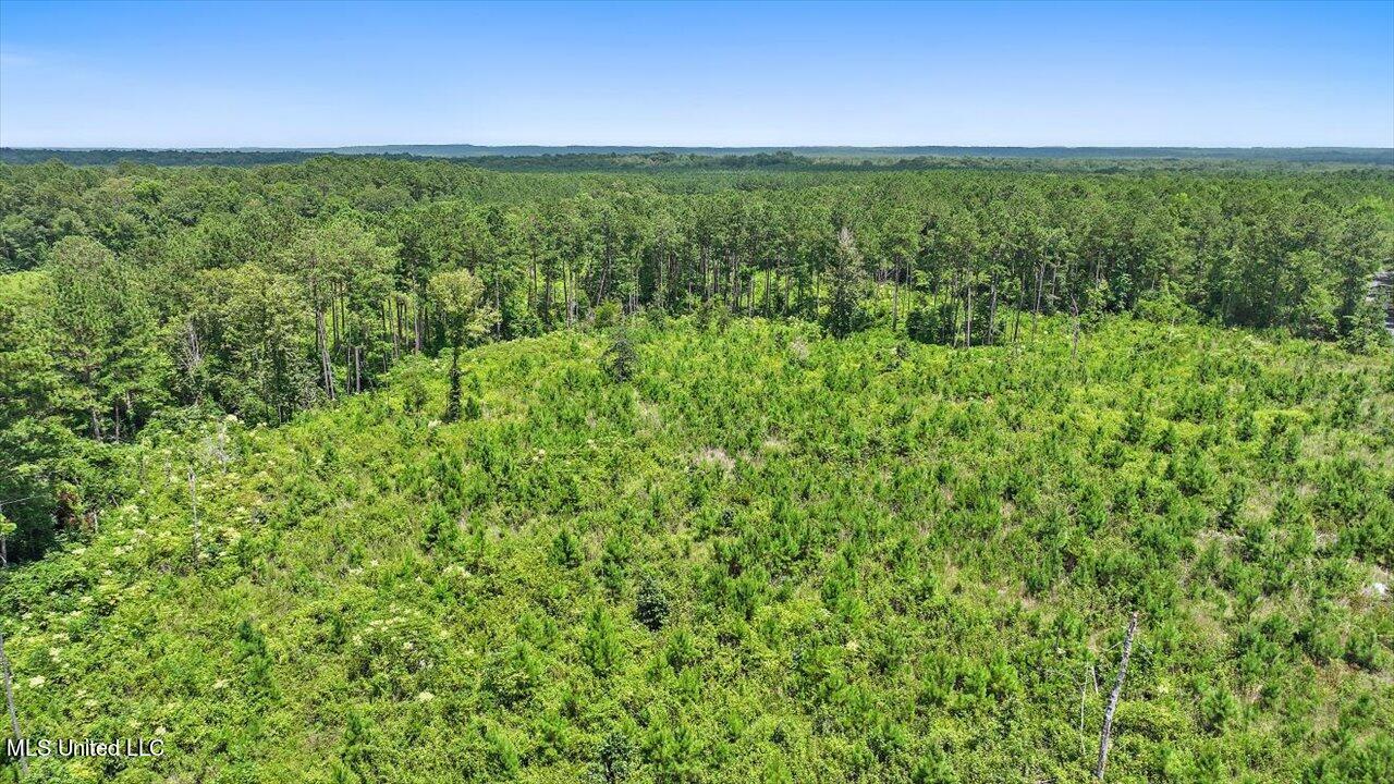 Cephus Williams Road Silver Creek, MS 39663 - Photo 49 of 52 39-Cephus Williams Rd