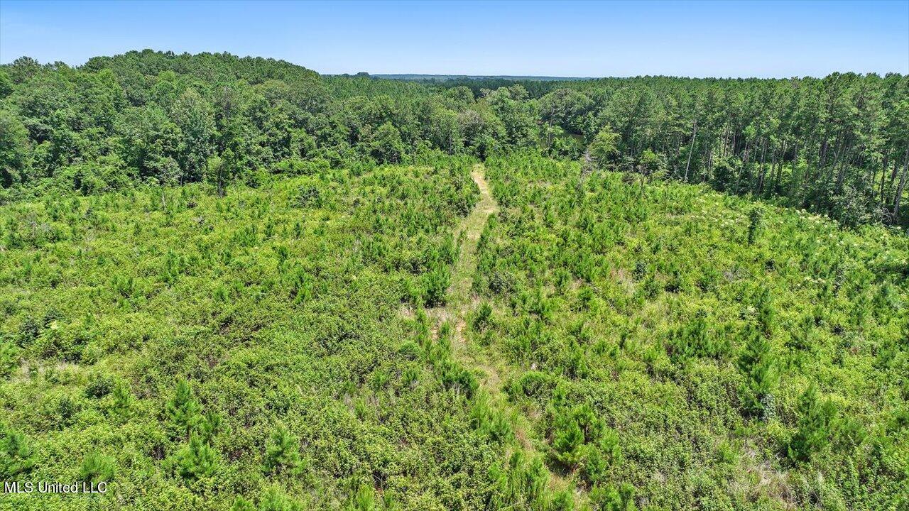 Cephus Williams Road Silver Creek, MS 39663 - Photo 52 of 52 42-Cephus Williams Rd