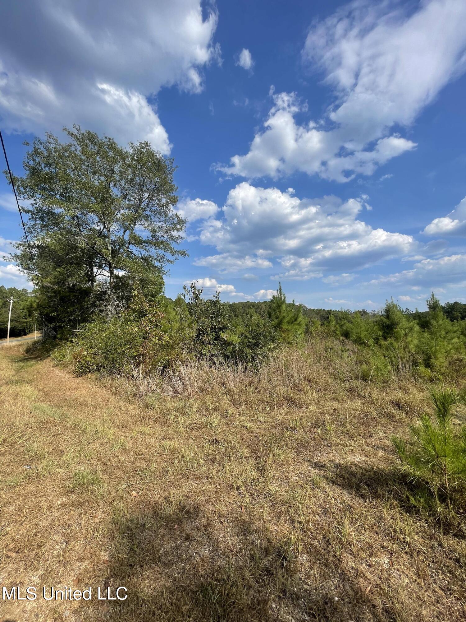 Cephus Williams Road Silver Creek, MS 39663 - Photo 8 of 52 387324347_1285243312153778_4391070939650