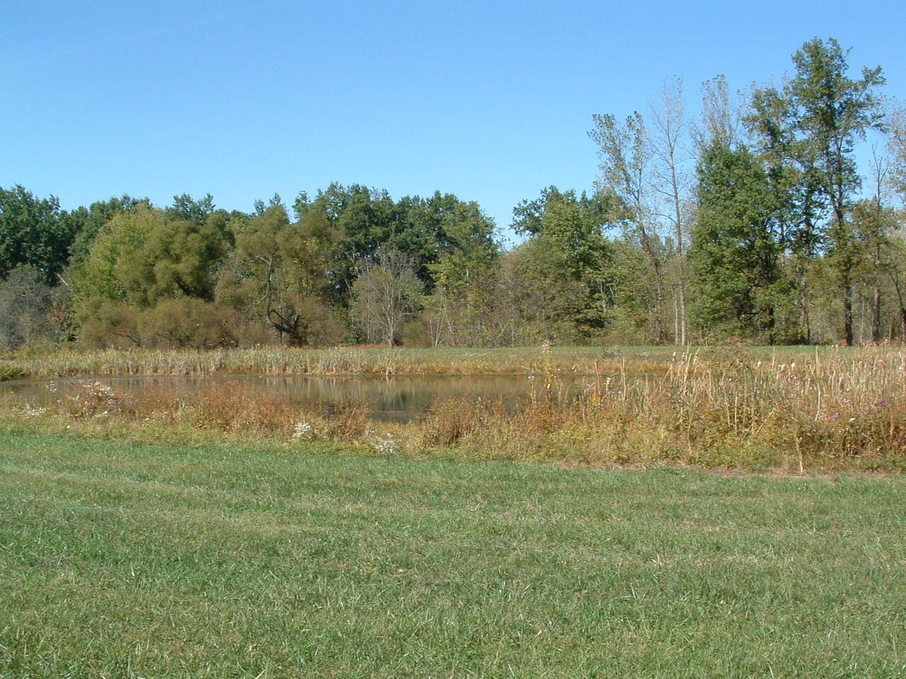 0 Nichols Lane Road Northwest Johnstown, OH 43031 - Photo 16 of 22 DSCF0013