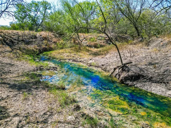 a backyard of a house with a yard and large tree