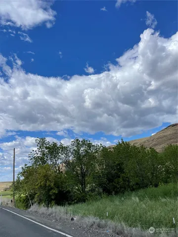 a view of a city with lush green forest