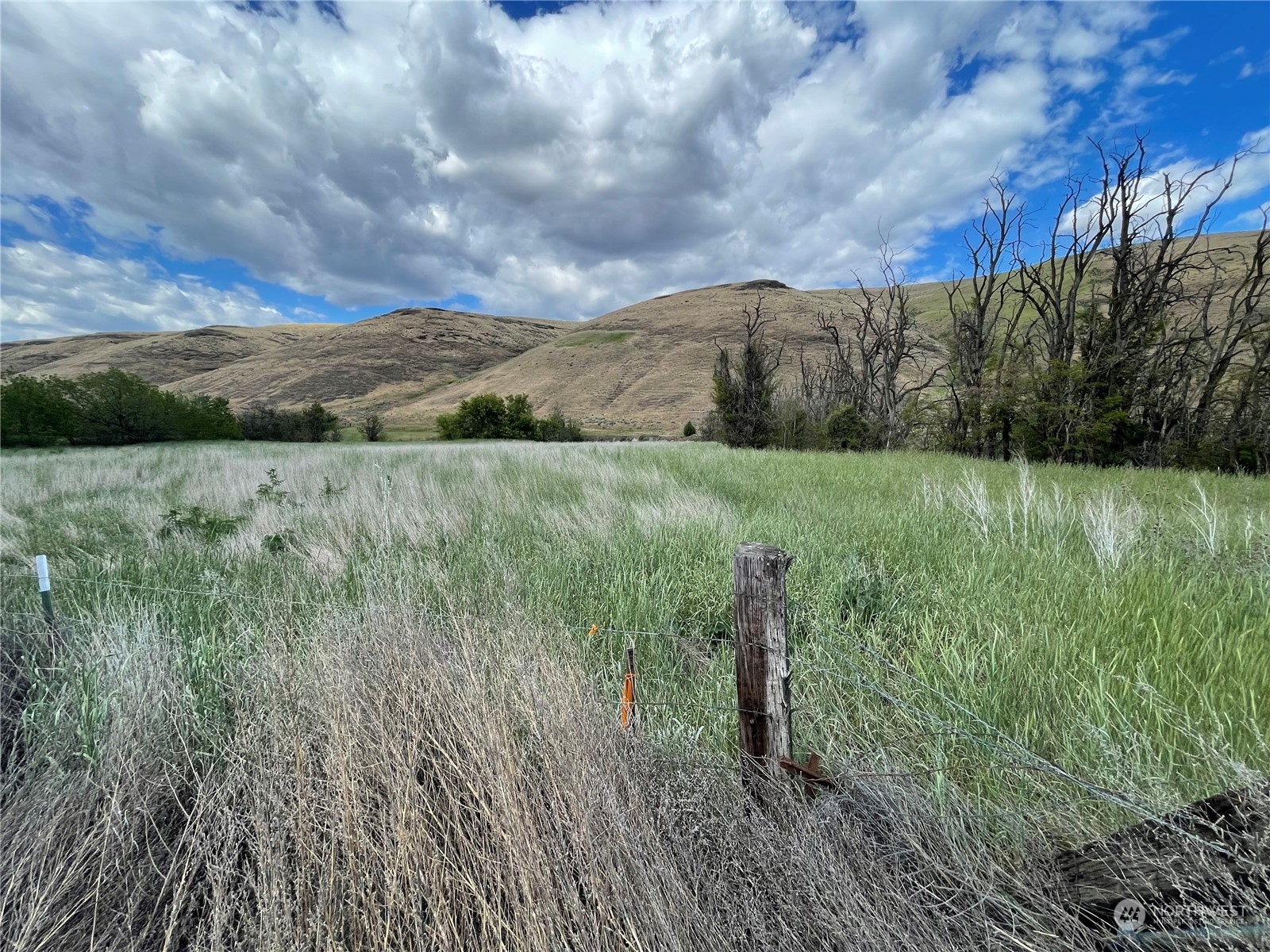 0 Kellogg Hollow Road Dayton, WA 99328 - Photo 4 of 4 a view of an outdoor space and a yard