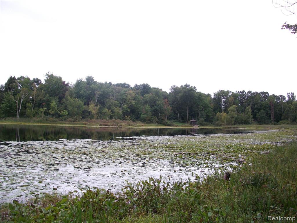 4350 5 Lakes Road North Branch, MI 48461 - Photo 15 of 24 Gallery Image 15