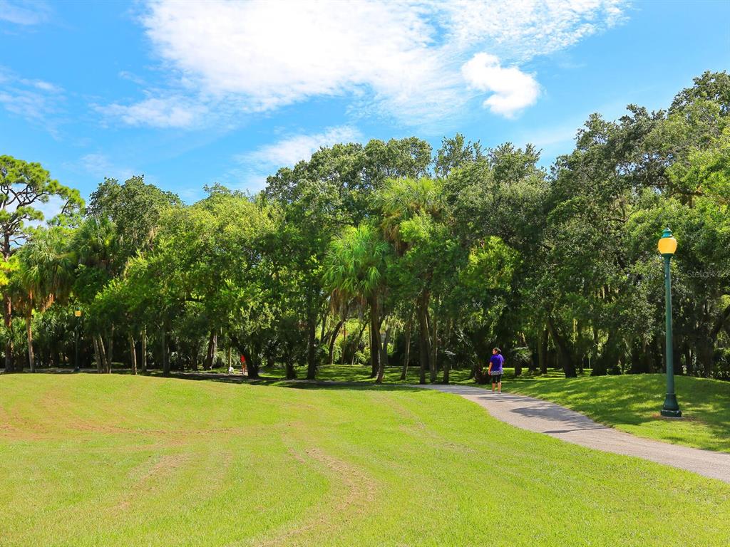2159 Hawthorne Street Sarasota, FL 34239 - Photo 45 of 47 a view of swimming pool and trees