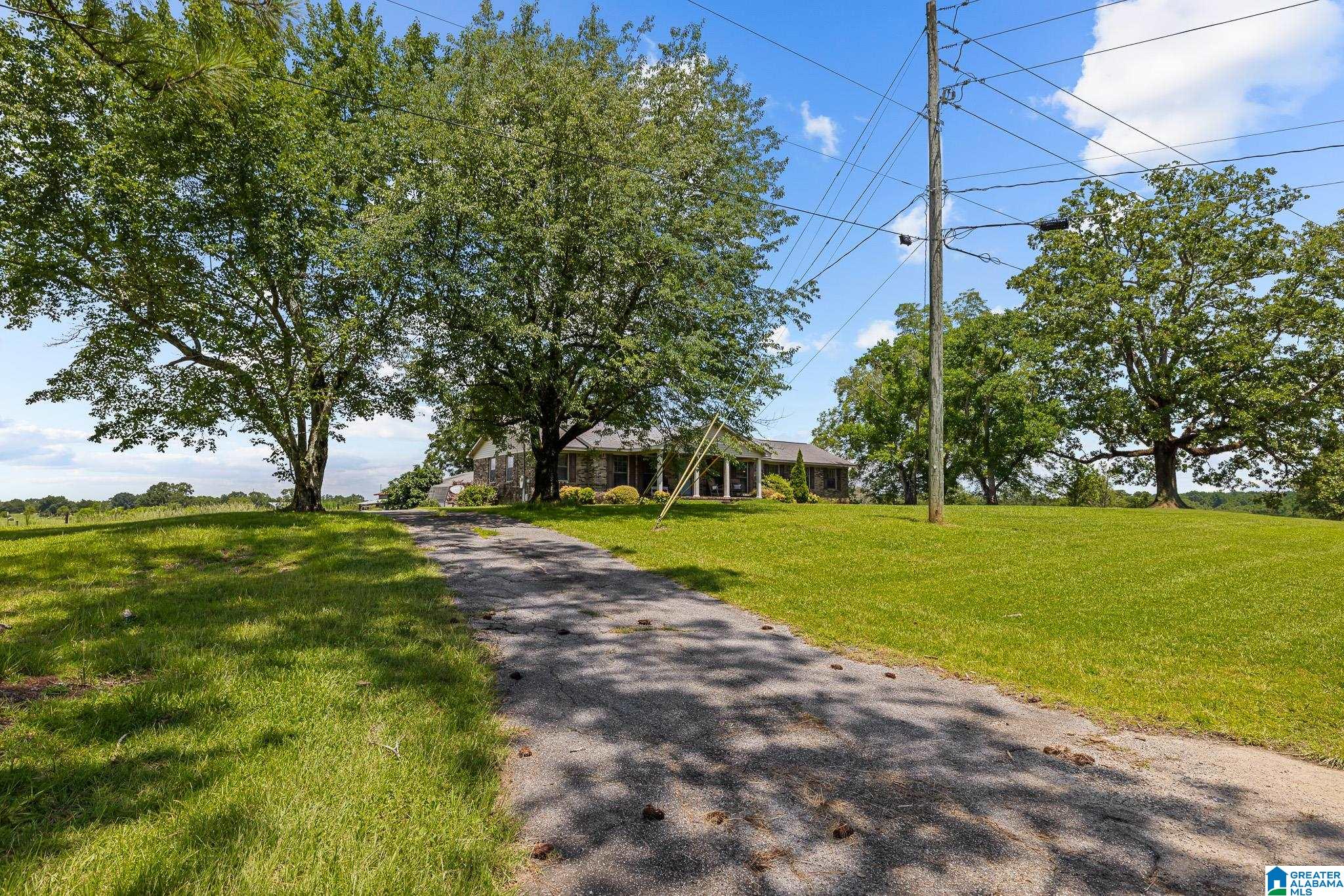 301 County Road 44 Jemison, AL 35085 - Photo 4 of 32
