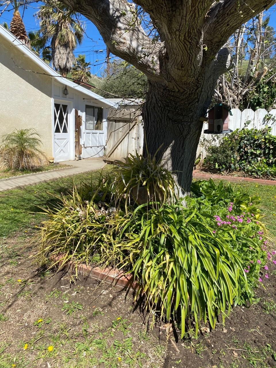 513 Pendleton Road Banning, CA 92220 - Photo 33 of 45 thumbnail_IMG_4869