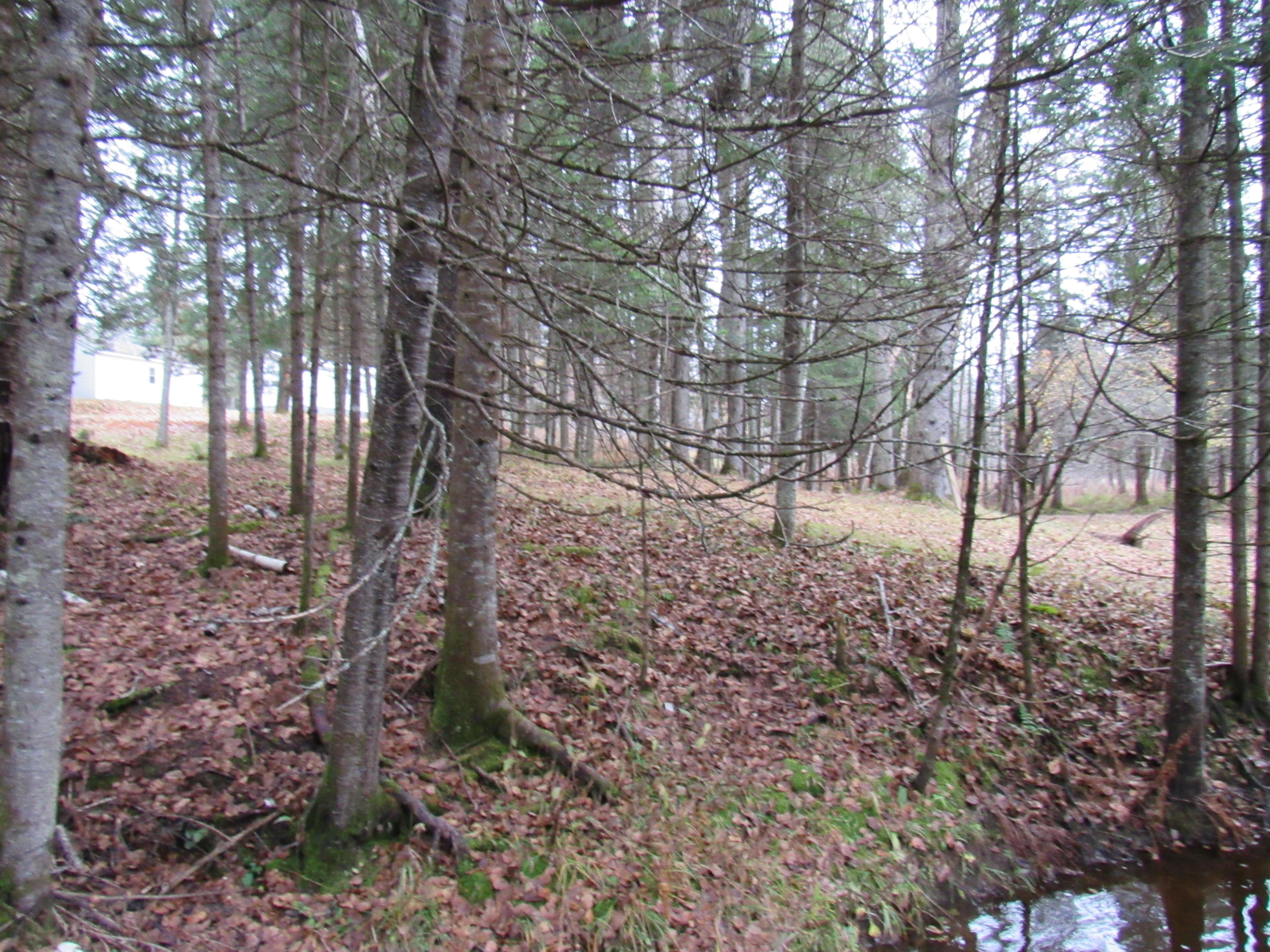 86 Heald Stream Road Jackman, ME 04945 - Photo 9 of 26 IMG_4564