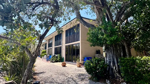 a view of a park with large trees