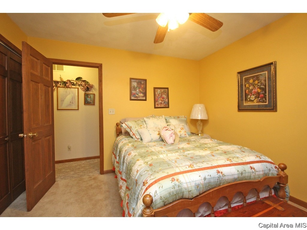 17147 River View Road Petersburg, IL 62675 - Photo 16 of 36 Gallery Image 16