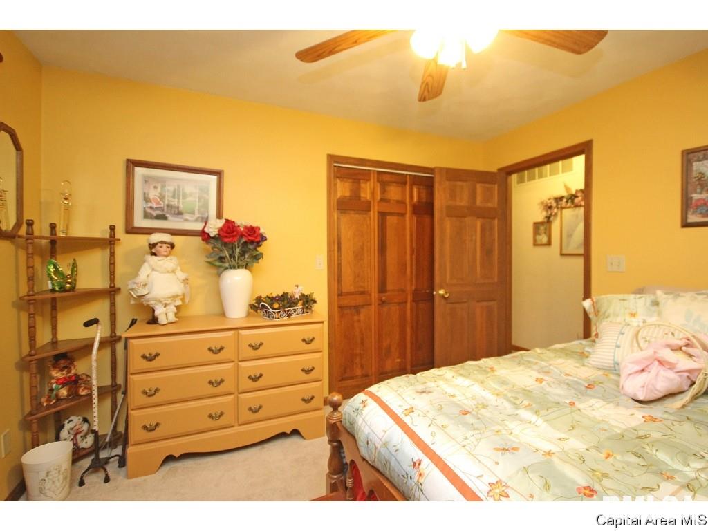 17147 River View Road Petersburg, IL 62675 - Photo 17 of 36 Gallery Image 17