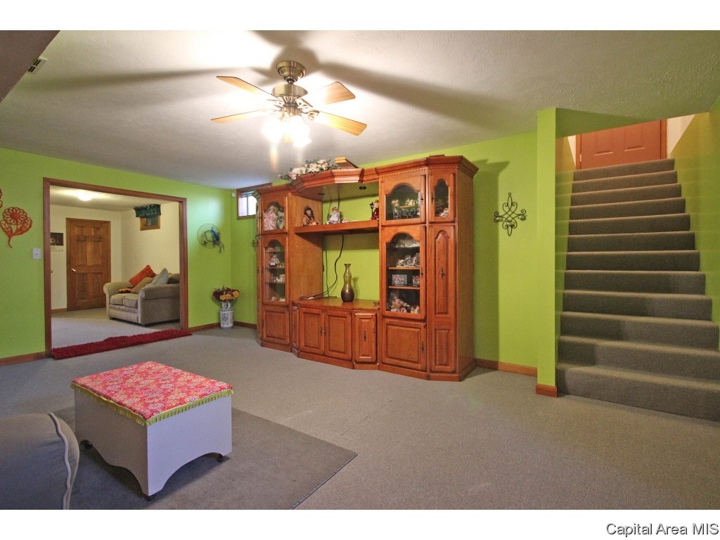 17147 River View Road Petersburg, IL 62675 - Photo 20 of 36 Gallery Image 20