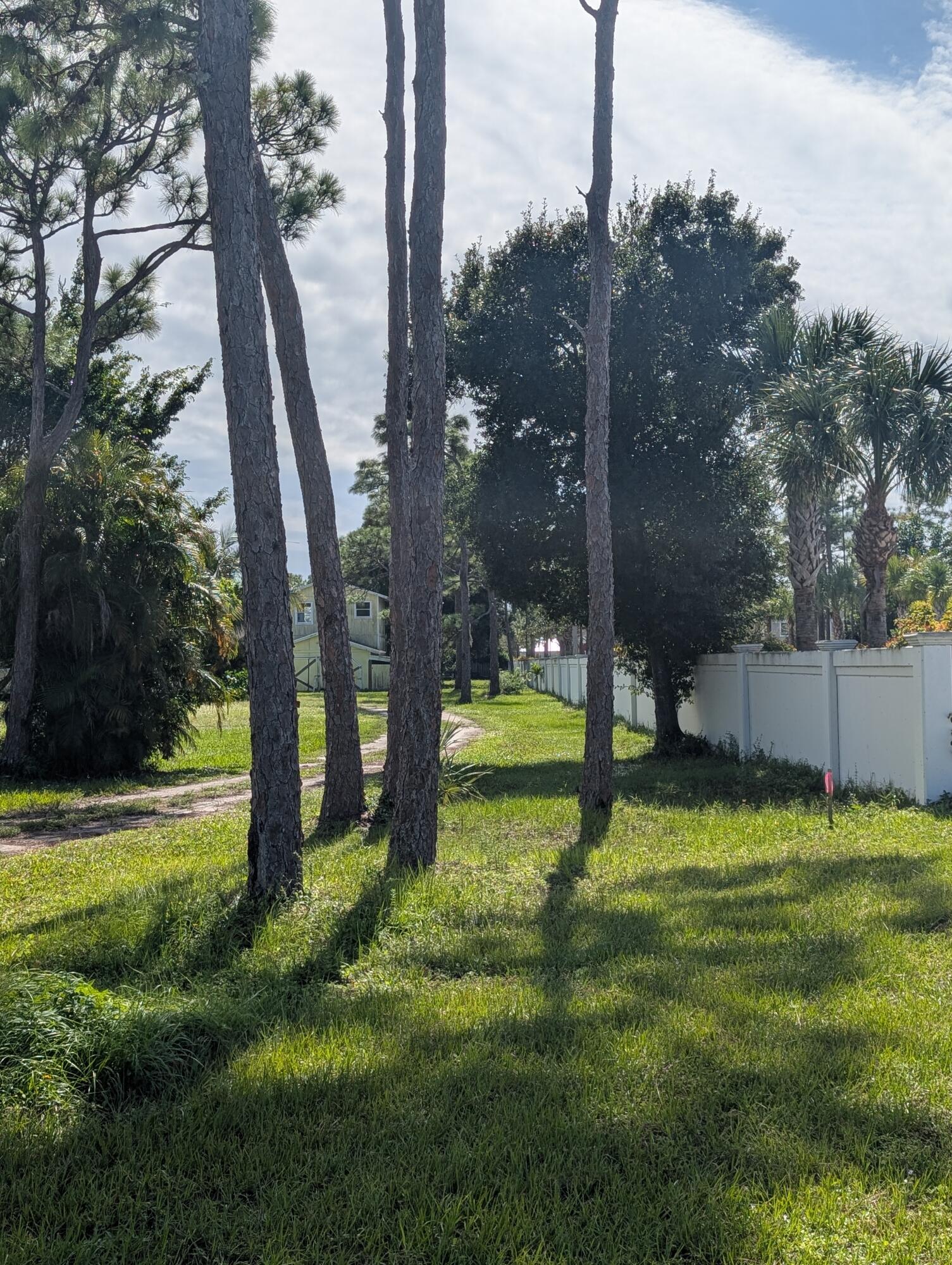 1500 Southeast Cove Road Stuart, FL 34997 - Photo 24 of 25 a view of a garden with a tree