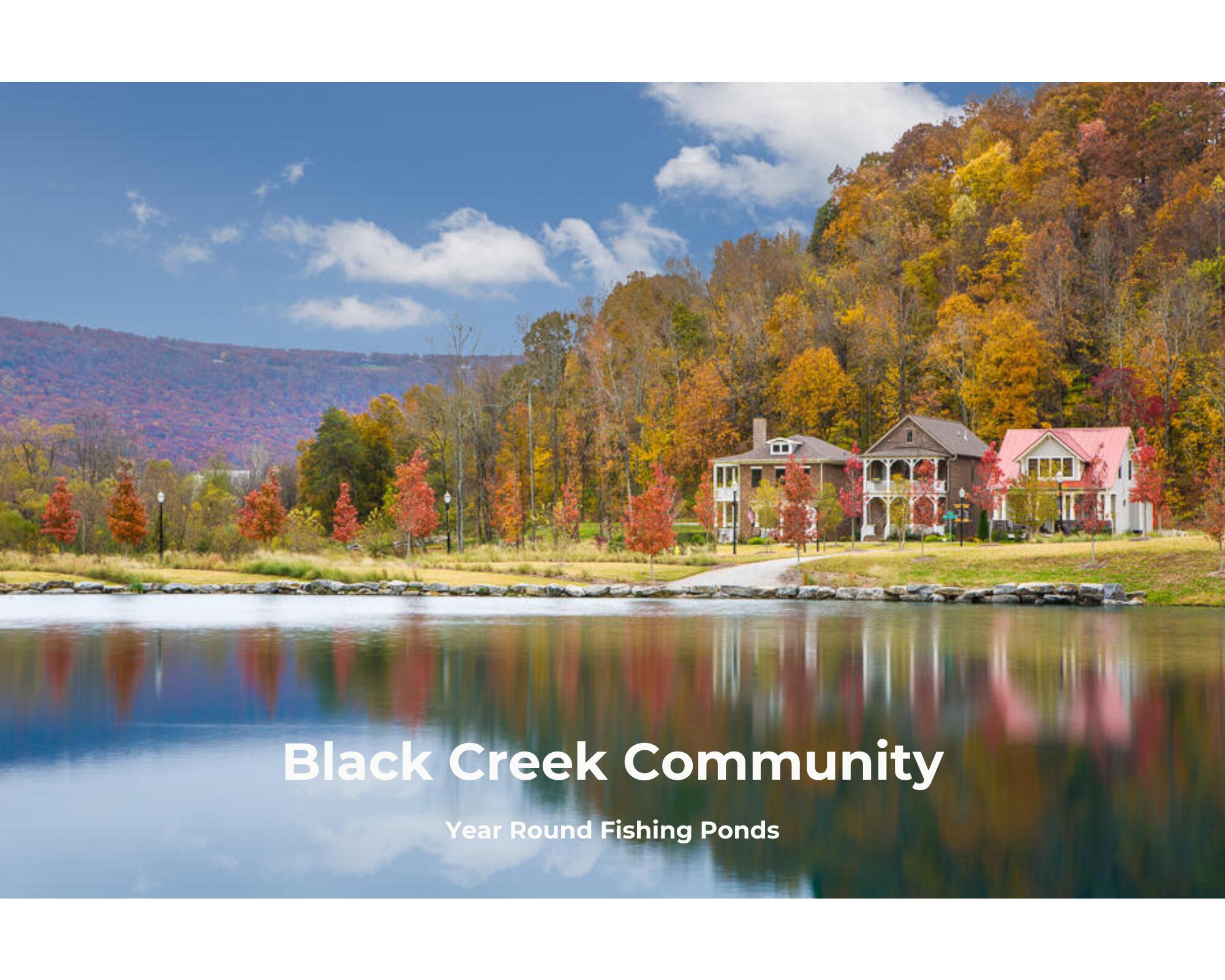 4707 Amethyst Road, Unit 891 Chattanooga, TN 37419 - Photo 11 of 13 Black Creek Ponds