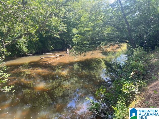 Pate Road Lineville, AL 36266 - Photo 1 of 5
