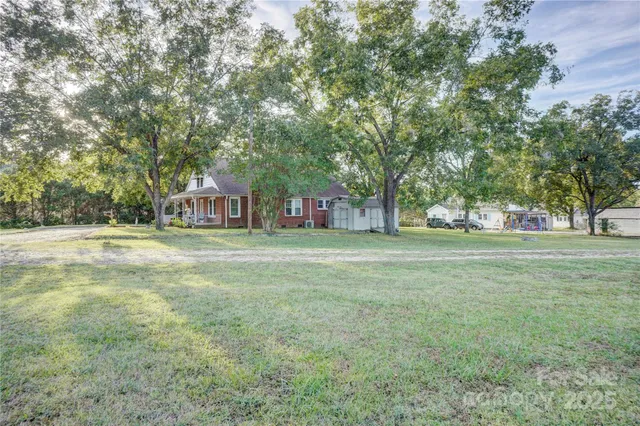 a outdoor space with lots of trees and plants