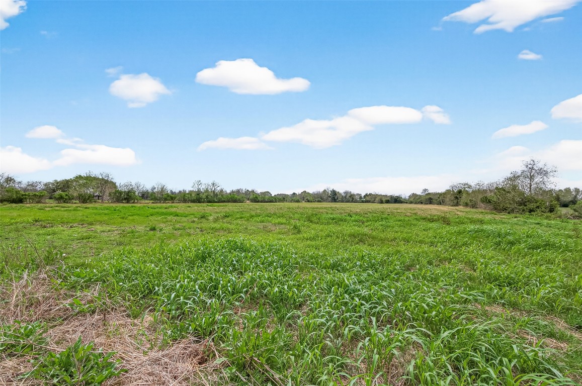 10234 Oberrender Road Needville, TX 77461 - Photo 34 of 36