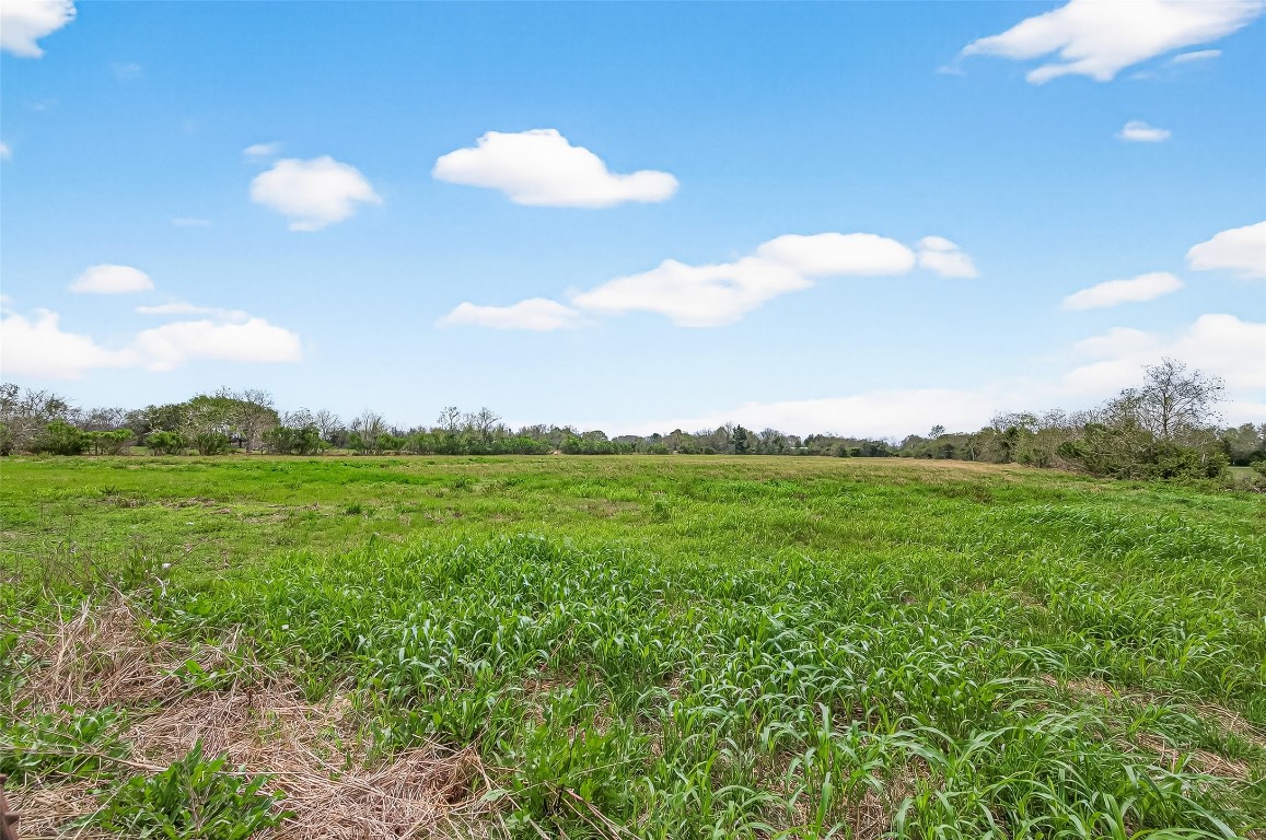 10234 Oberrender Road Needville, TX 77461 - Photo 36 of 36