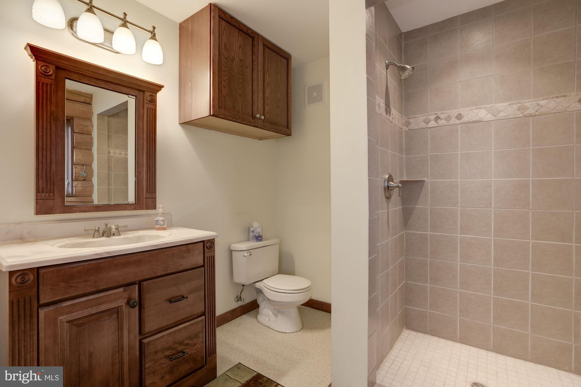 18651 Canby Road Leesburg, VA 20175 - Photo 43 of 68 In-law suite bathroom