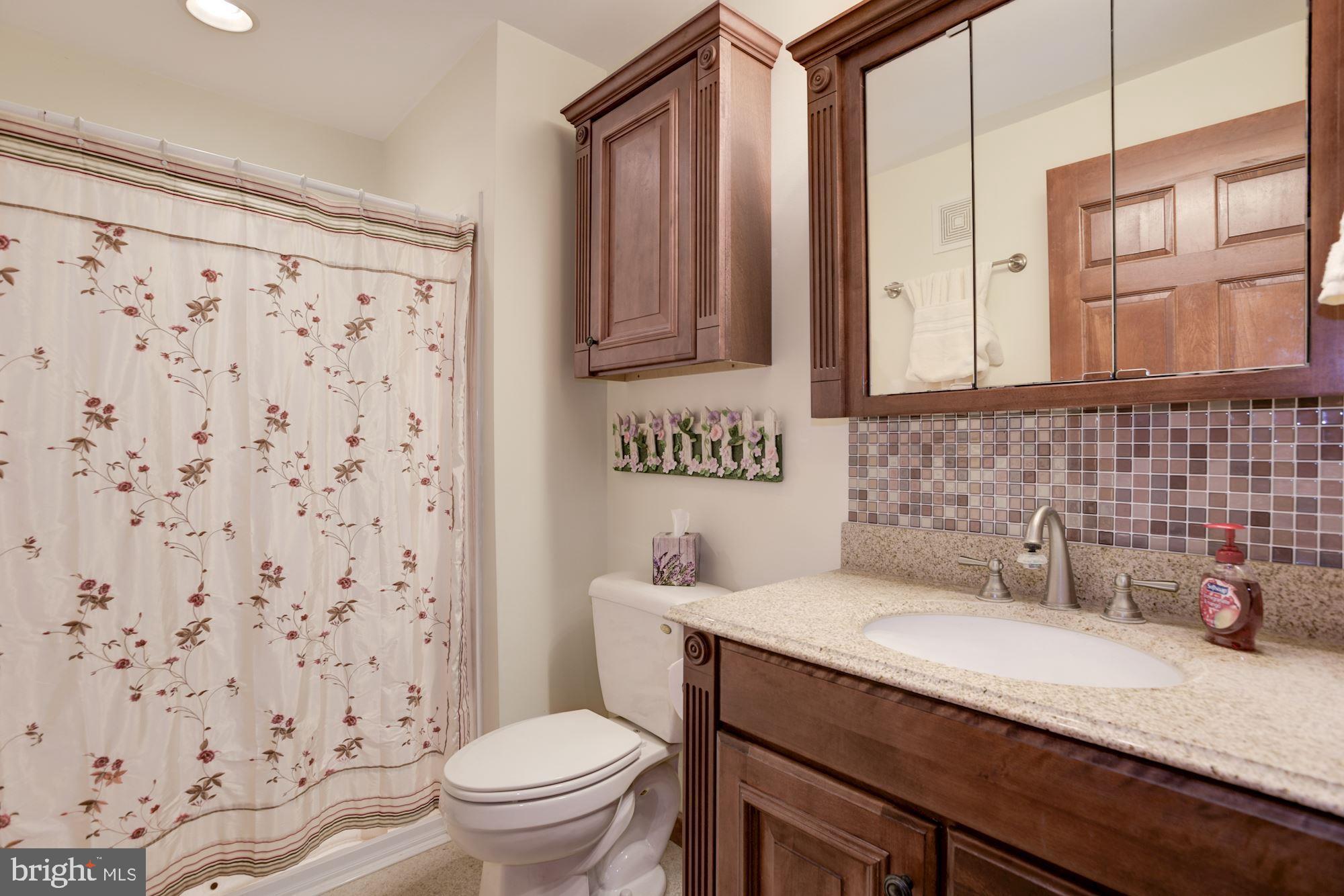 18651 Canby Road Leesburg, VA 20175 - Photo 45 of 68 In-law suite bathroom