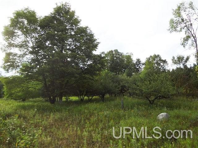 Tbd Koivu Road Crystal Falls, MI 49920 - Photo 2 of 12
