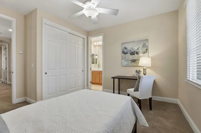 a bedroom with a large bed and a potted plant
