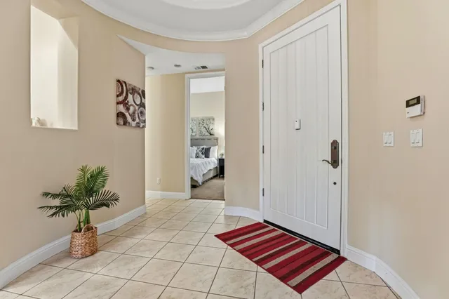 a living room with a couch and a potted plant