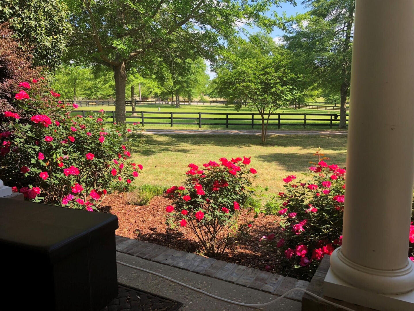 471 Cedar Ridge Drive Aiken, SC 29803 - Photo 15 of 64
