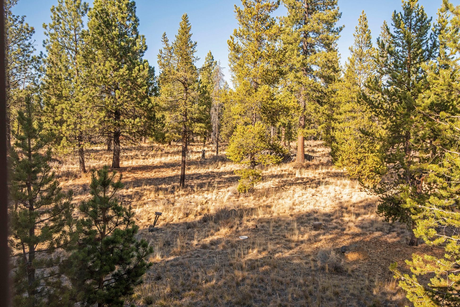 18168 Oregon Loop Sunriver, OR 97707 - Photo 27 of 34 batch_18168 Oregon Loop Sunriver OR-prin