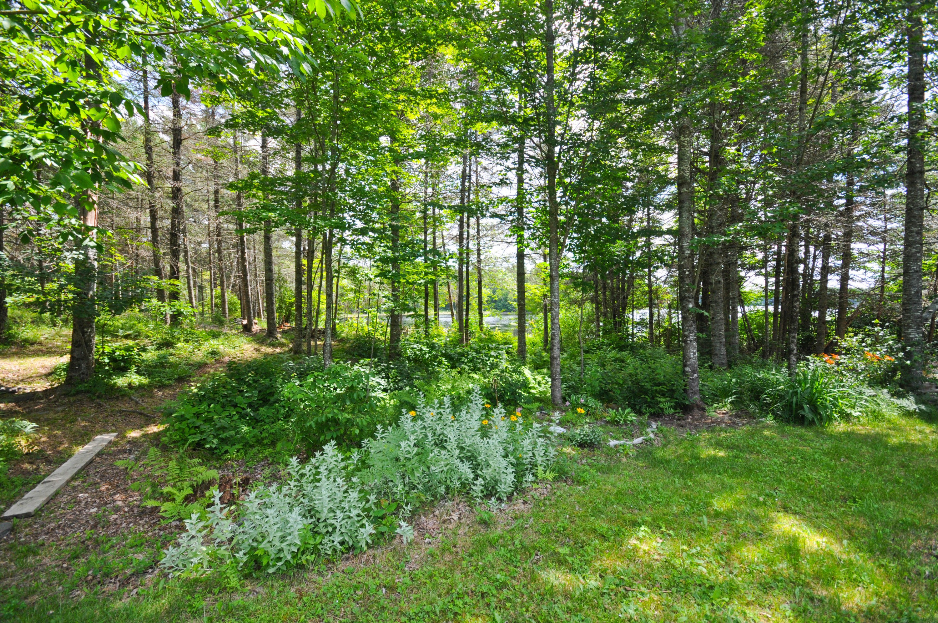 15 Union River Road Mariaville, ME 04605 - Photo 33 of 41 DSC_5631