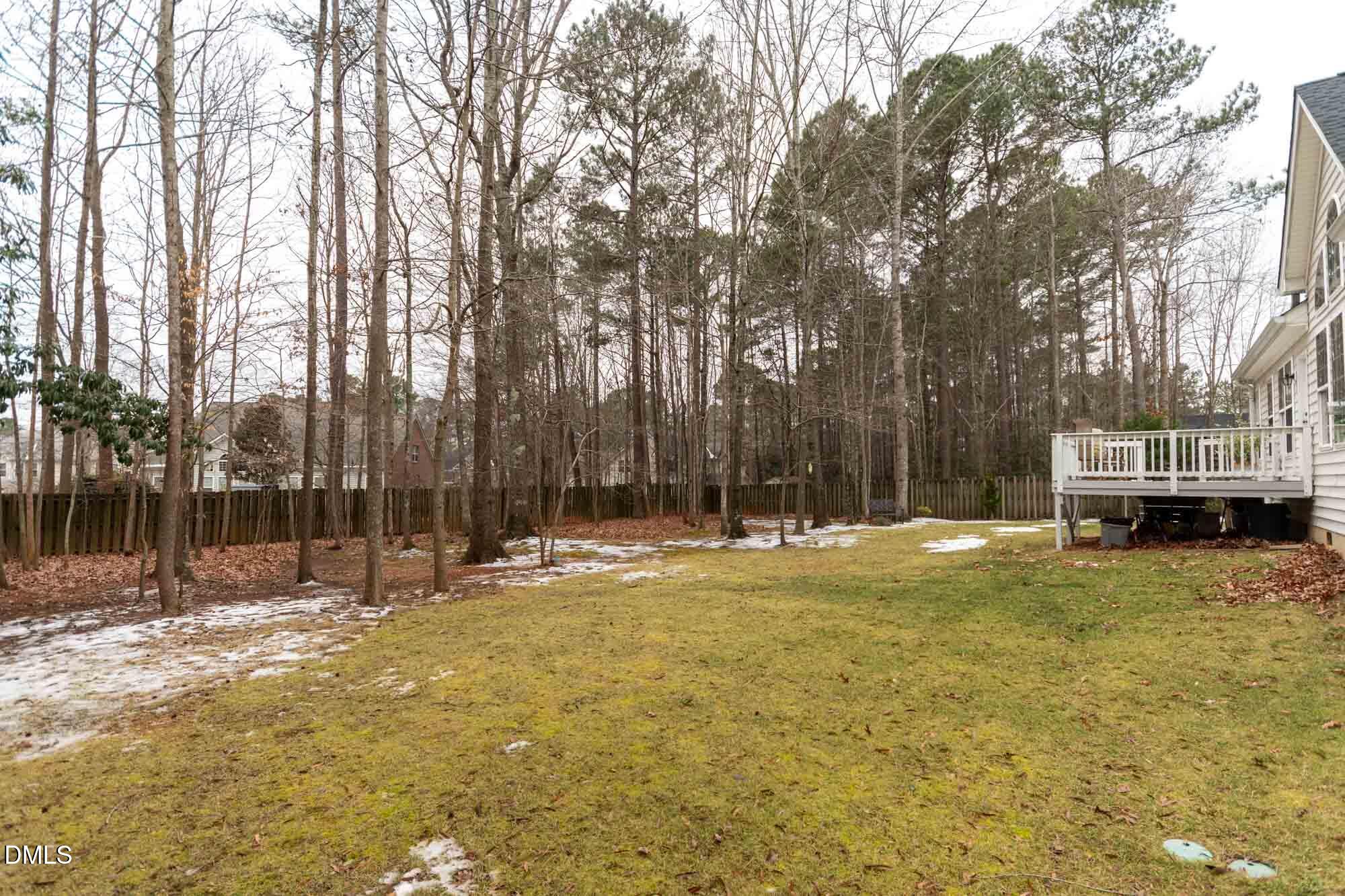 4412 Fairview Ridge Lane Apex, NC 27539 - Photo 39 of 46 DSC_4005-HDR